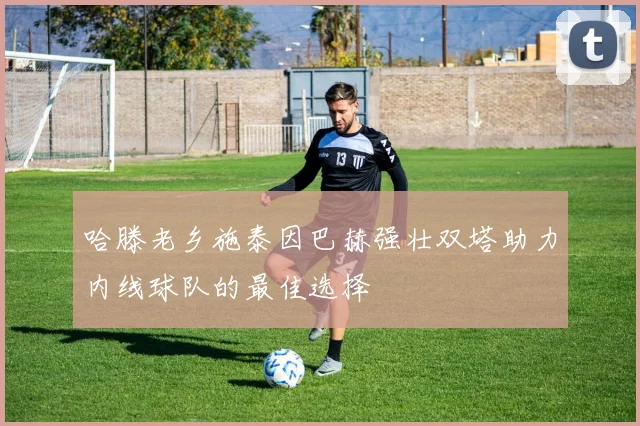 哈滕老乡施泰因巴赫强壮双塔助力内线球队的最佳选择